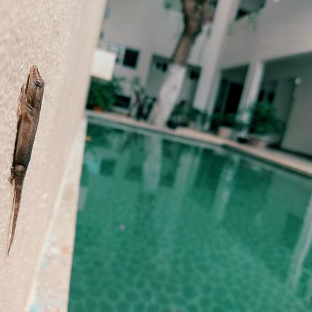 Cozy Studios Zazil-Ha Playa del Carmen Bagian luar foto