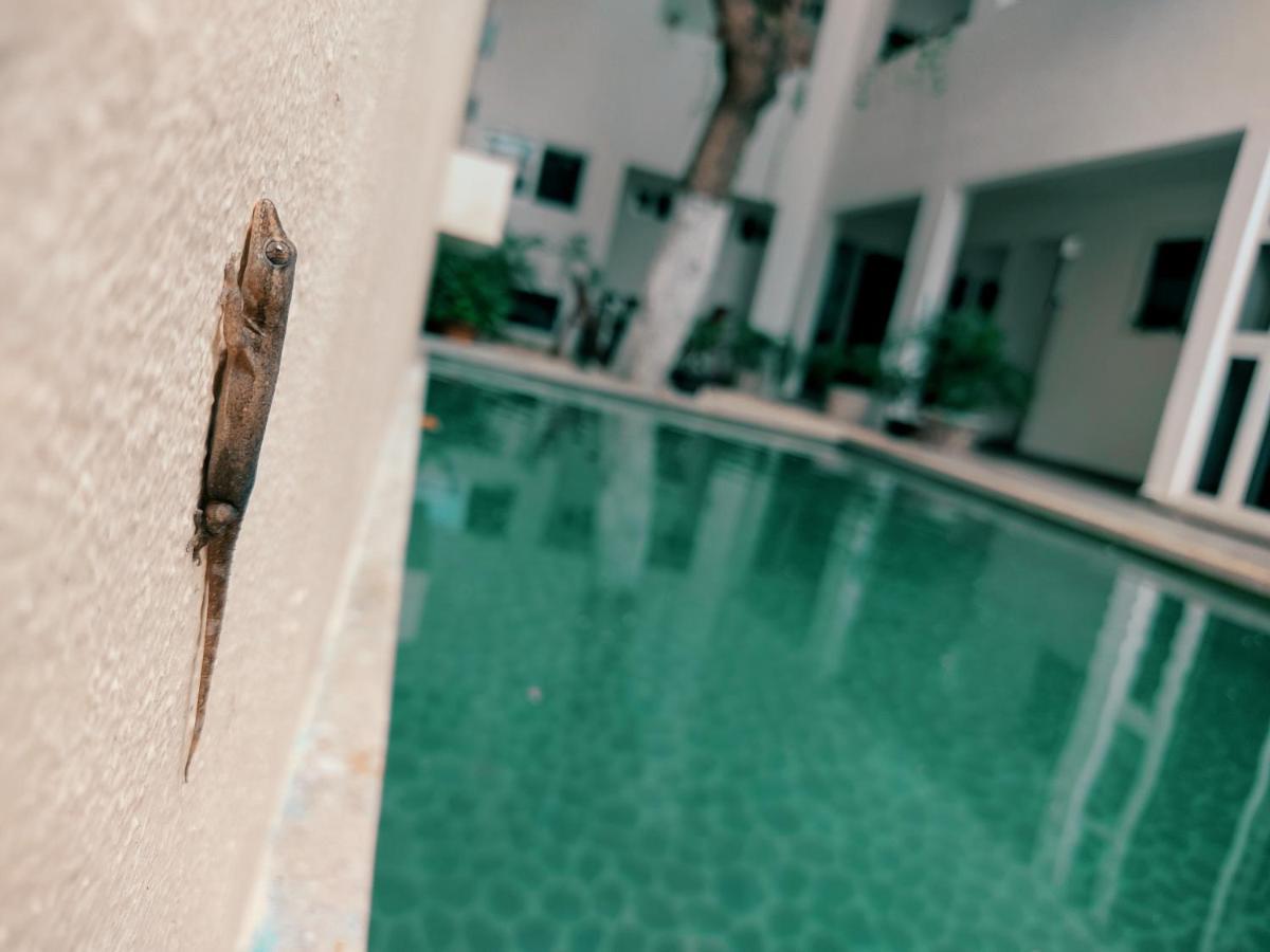 Cozy Studios Zazil-Ha Playa del Carmen Bagian luar foto