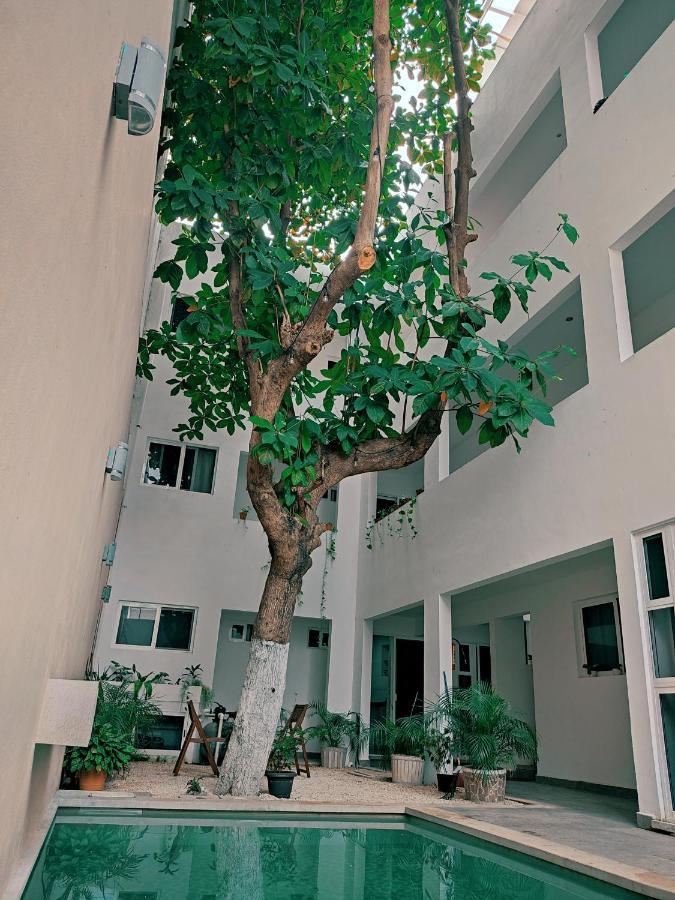 Cozy Studios Zazil-Ha Playa del Carmen Bagian luar foto