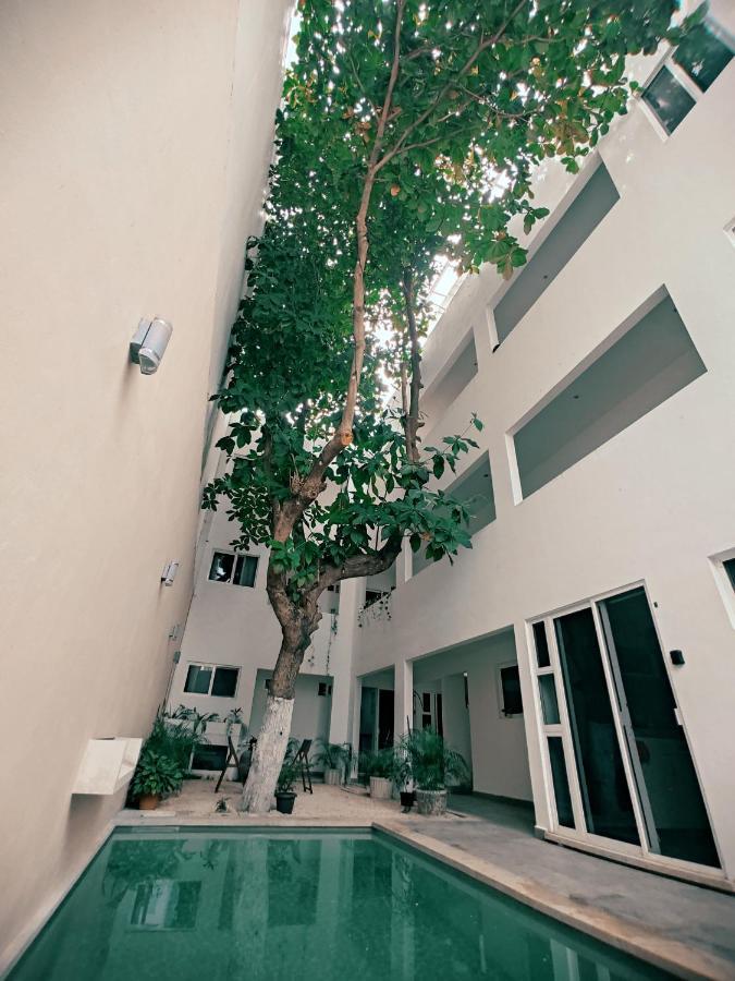 Cozy Studios Zazil-Ha Playa del Carmen Bagian luar foto