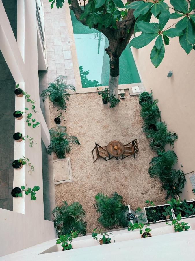 Cozy Studios Zazil-Ha Playa del Carmen Bagian luar foto